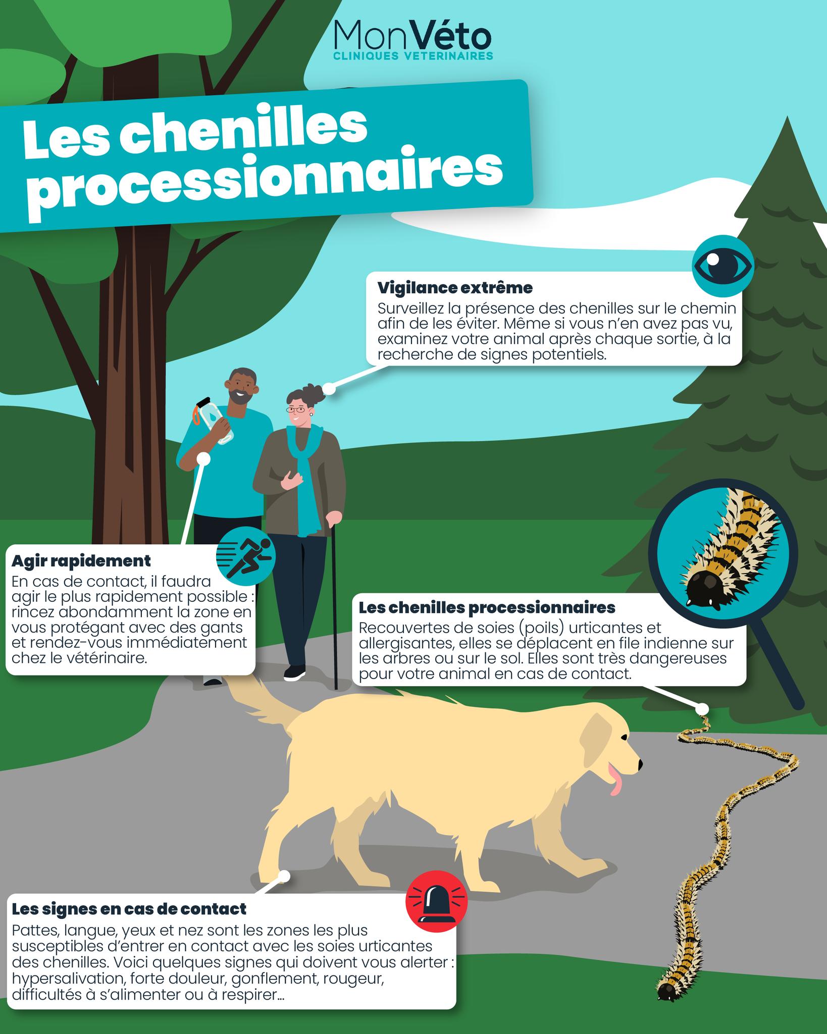 chenille2